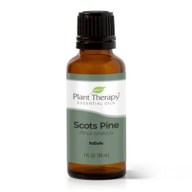 Pine Scots Essential Oil 30 mL